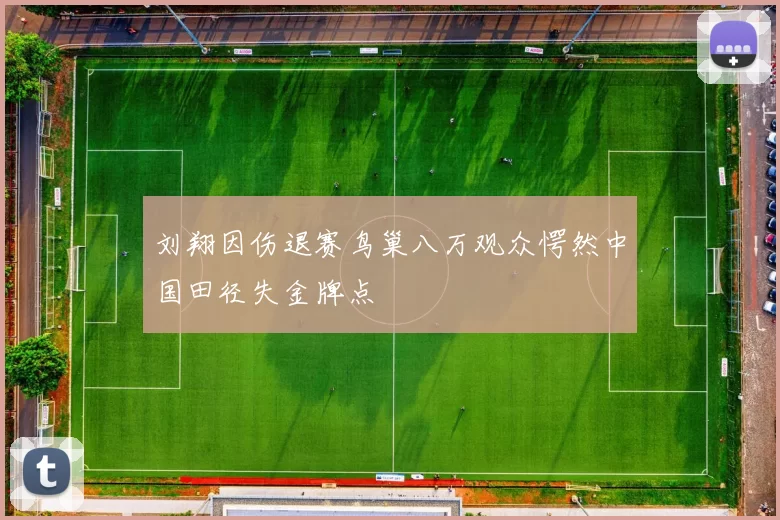 刘翔因伤退赛鸟巢八万观众愕然中国田径失金牌点