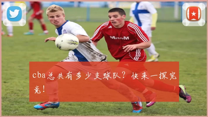 cba总共有多少支球队？快来一探究竟！