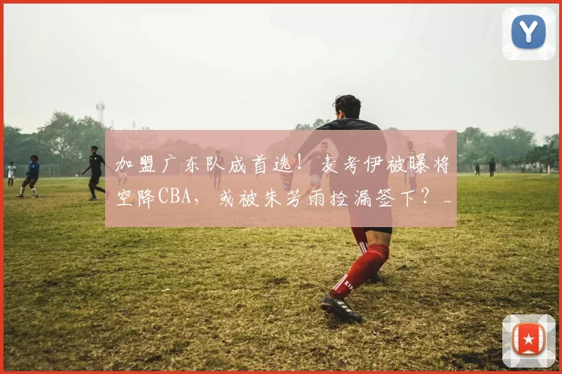 加盟广东队成首选！麦考伊被曝将空降CBA，或被朱芳雨捡漏签下？_内线_广厦_北京