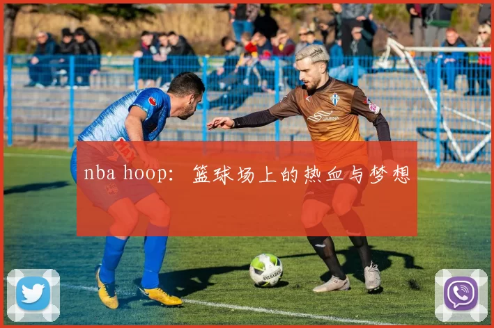 nba hoop:篮球场上的热血与梦想